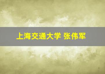 上海交通大学 张伟军